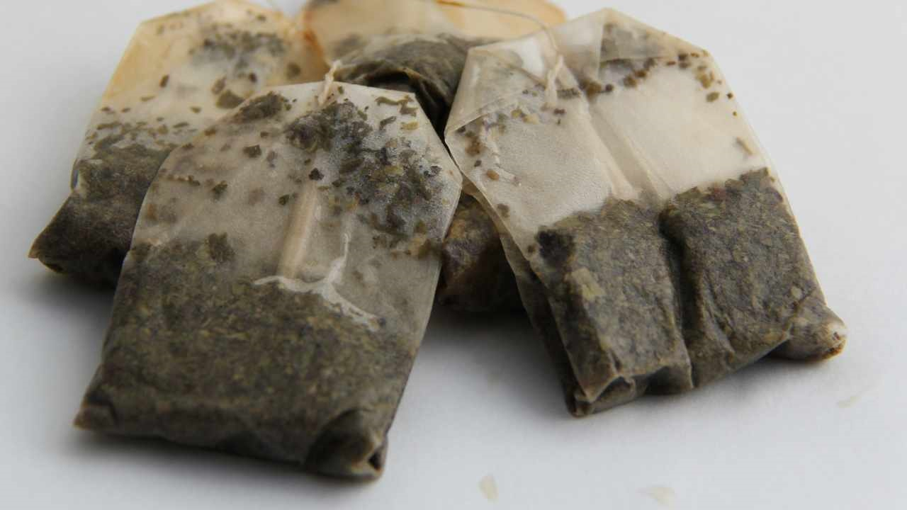 ¿Sabías que las bolsitas de té se inventaron originalmente con otro propósito? Aquí está cuál