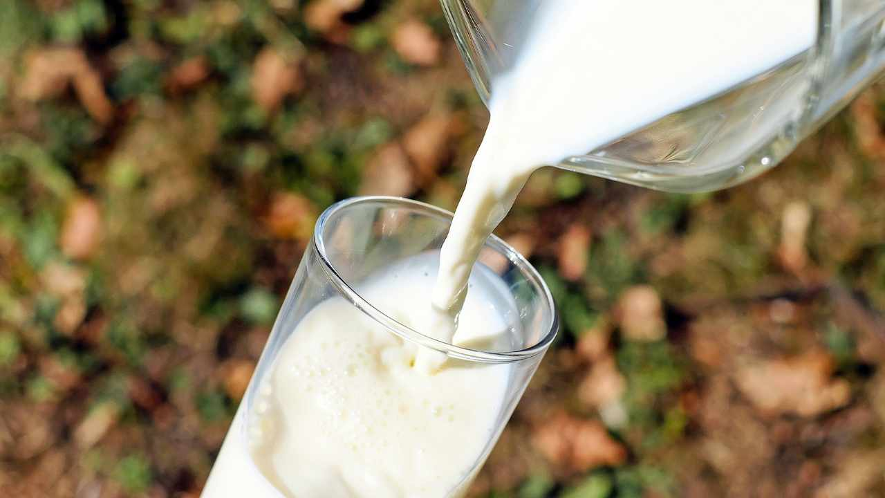 Leche caducada, tirarla es un desperdicio: descubre estos usos ocultos (que casi nadie conoce)