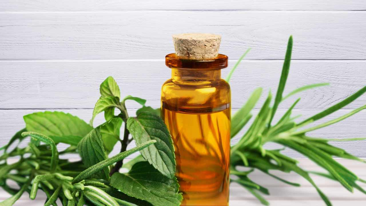 El esencial aceite esencial para desinfectar y perfumar tu hogar de forma natural: 6 formas de utilizarlo a la hora de limpiar