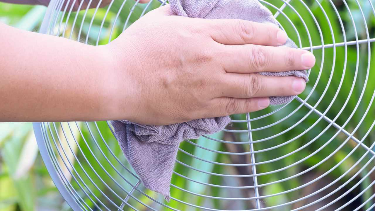 Es hora de coger el ventilador, ¡pero hay que limpiarlo! Por favor no olvides estos pasos
