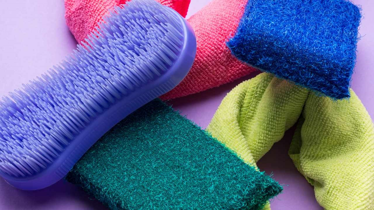 ¿Con qué frecuencia debes cambiar las esponjas del baño y de los platos?