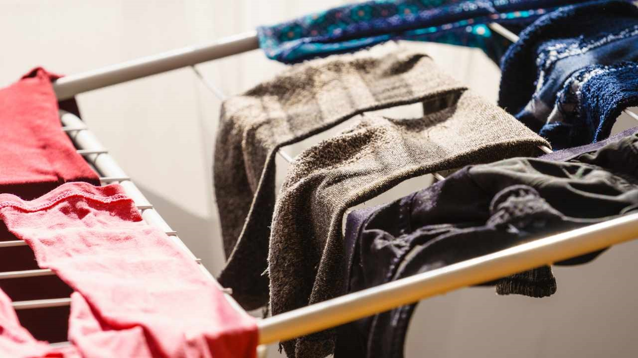 Algunos trucos ingeniosos para evitar que tu ropa se arrugue después de tenderla