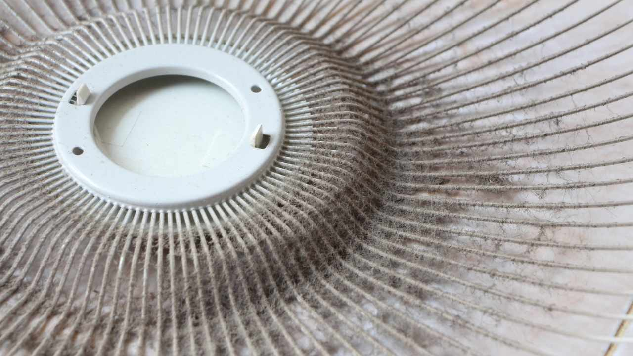 Cómo limpiar el ventilador rápidamente: este ingrediente es suficiente