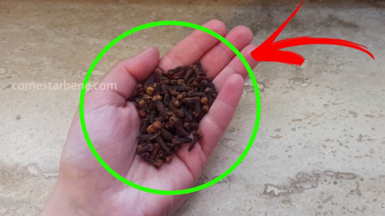 ¿Quieres despedirte de las molestas moscas? Usa este TRUCO en todas las habitaciones