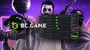 Crypto sporting activities wagering BC video game