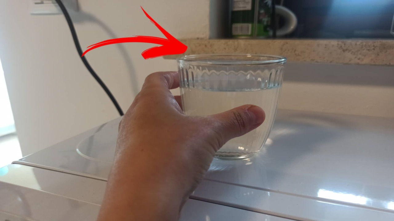 Cómo acabar con las moscas con el truco del vaso de agua