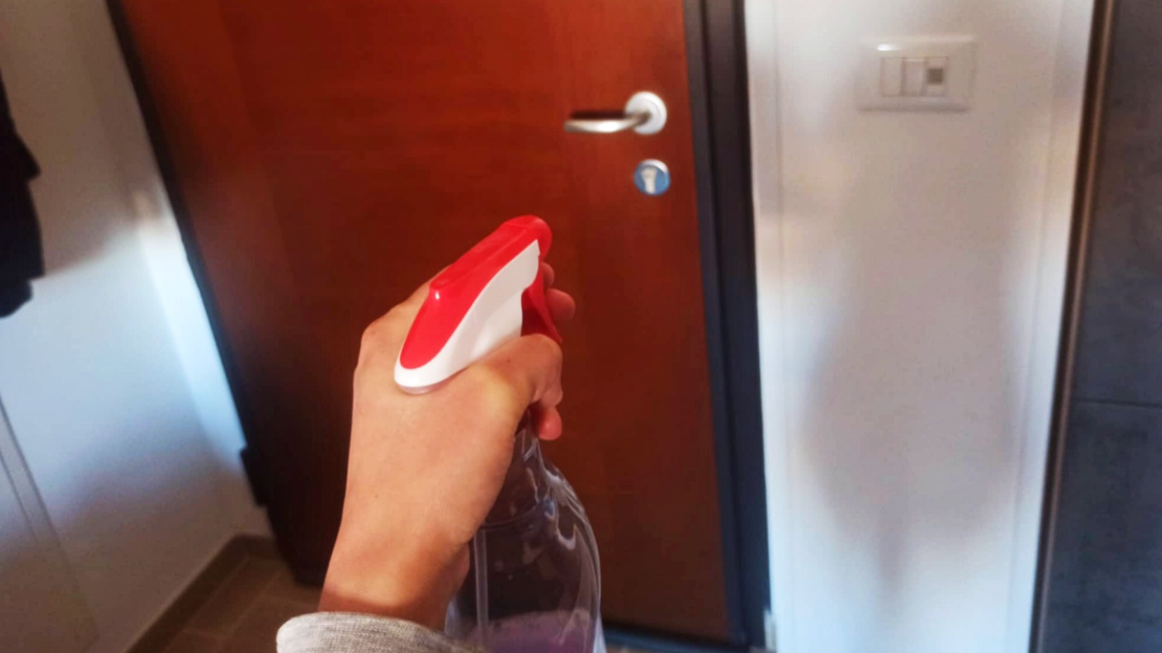 Cómo eliminar el olor a pescado de la casa: TRUCOS DIY