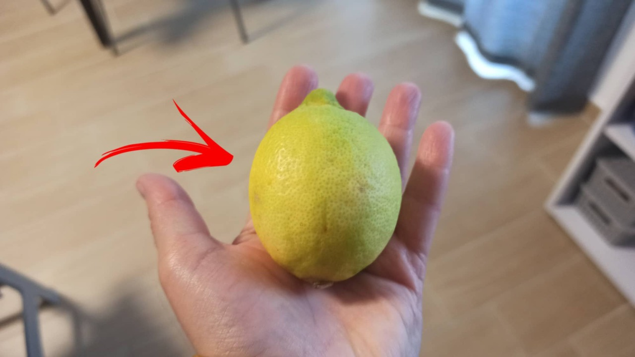 Hacer del LIMÓN un excelente aliado en casa: 12 consejos muy útiles