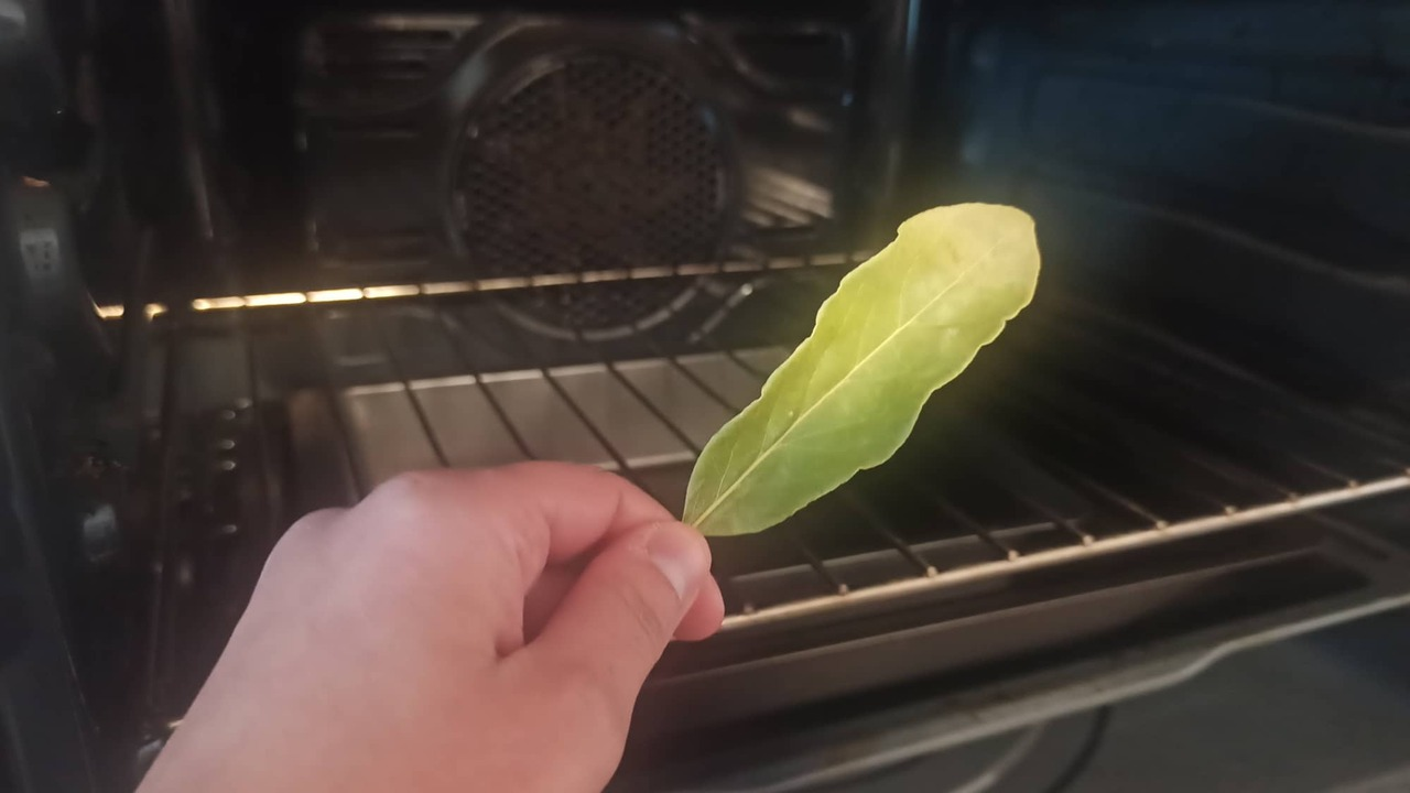 ¿Por qué meter hojas de LAUREL al horno?