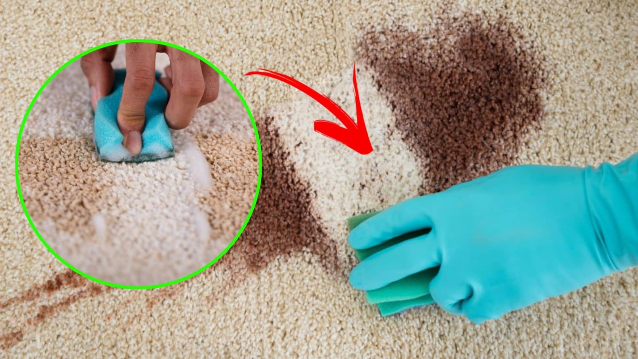 Cómo quitar las manchas de la alfombra con TRUCOS rápidos y fáciles