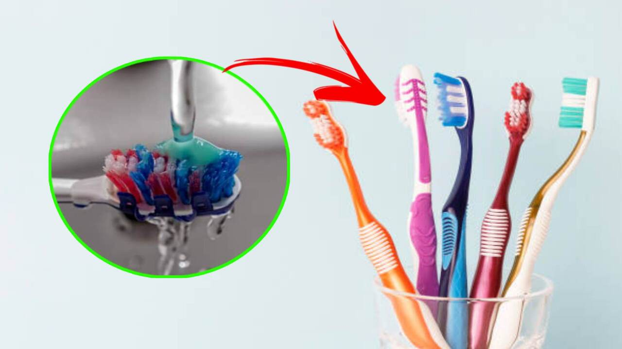 Cepillo de dientes: ¿por qué tiene cerdas de varios colores?