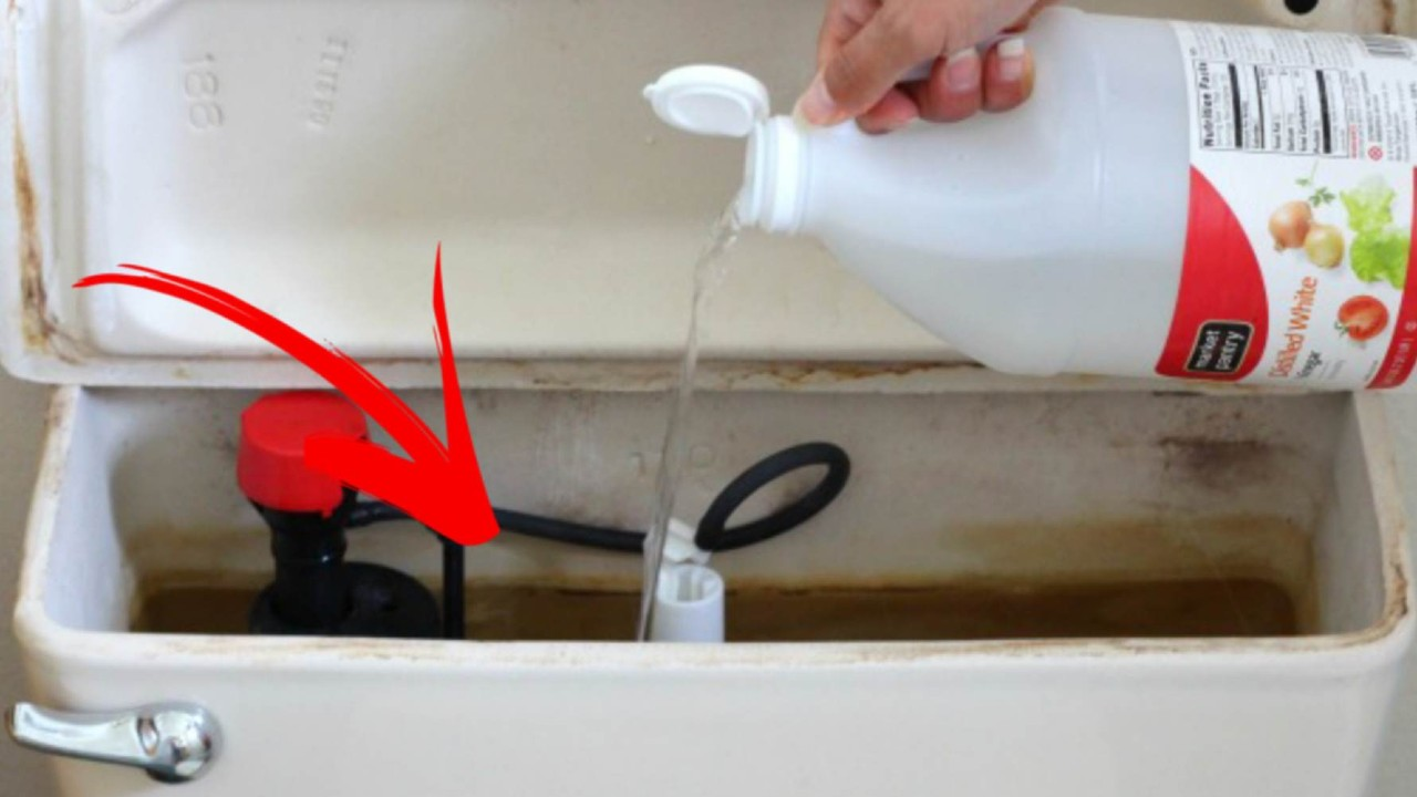 Un método para limpiar rápidamente es echar vinagre blanco en el inodoro: por qué y para qué sirve