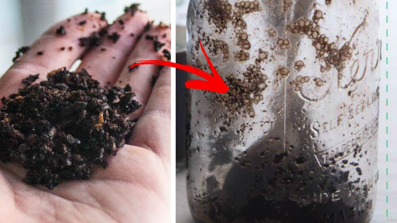 No tires los posos del café. Aquí hay 12 formas de usarlos en casa.