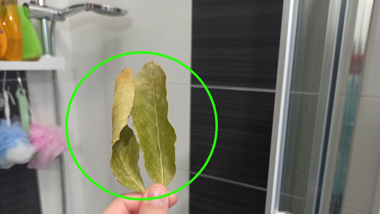 Cómo utilizar bicarbonato de sodio para limpiar baldosas cerámicas
