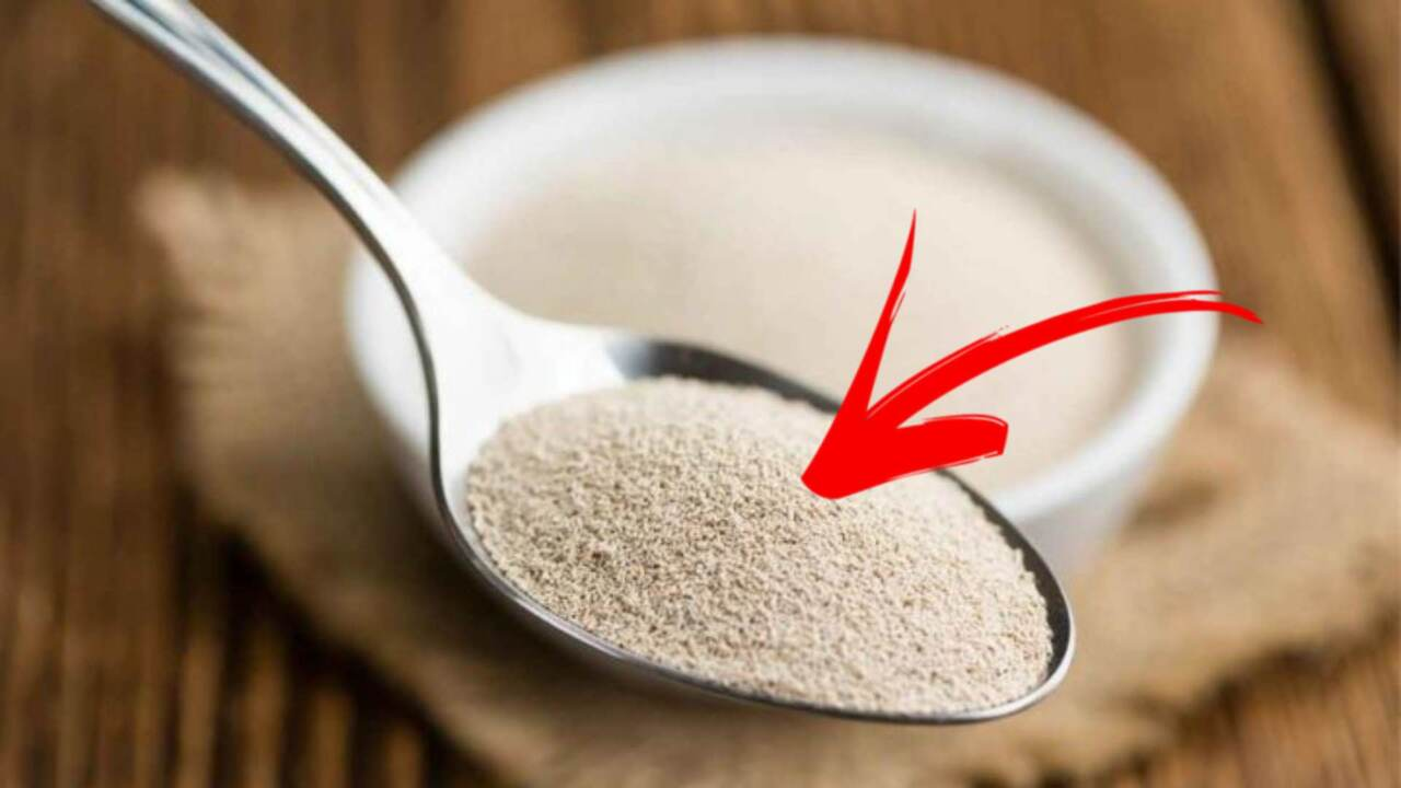¿Tienes levadura caducada en tu despensa? No lo tires, úsalo de estas brillantes maneras