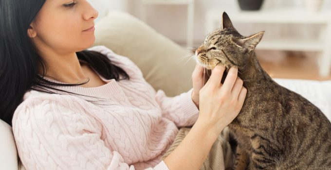 Si tienes mascotas en casa debes seguir estos 10 consejos