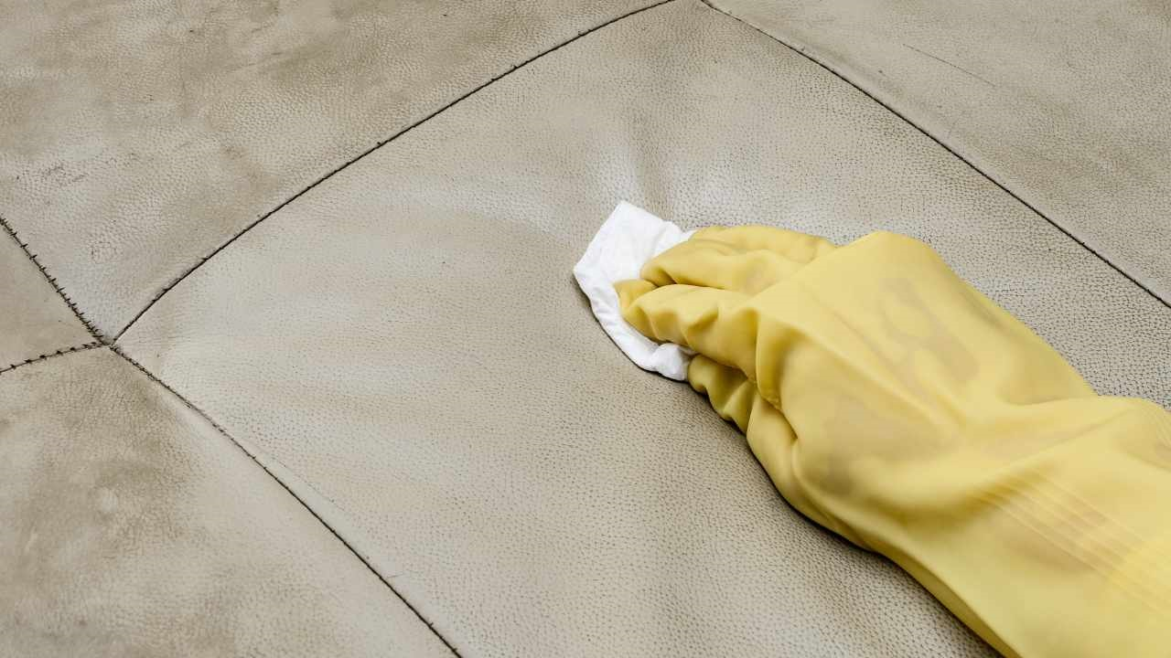 Cómo hacer champú seco para limpiar sofás en casa: ¡es una solución fantástica!