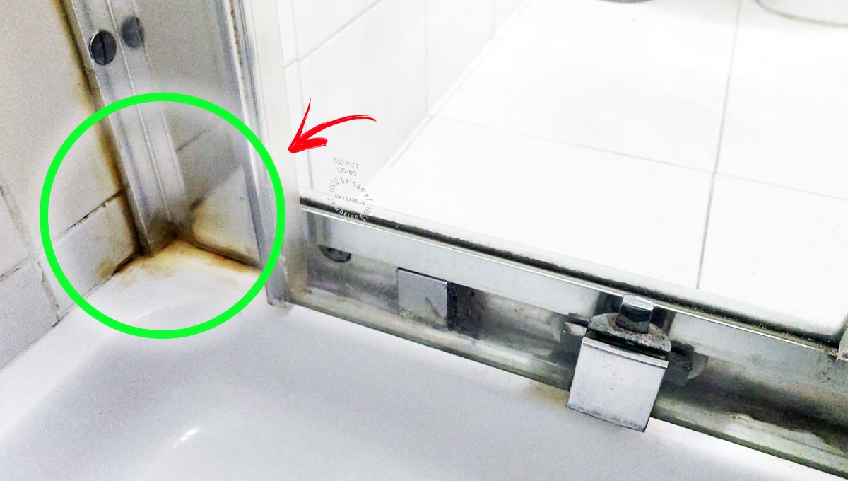 Las reglas que siempre sigo para nunca tener manchas de moho en la ducha