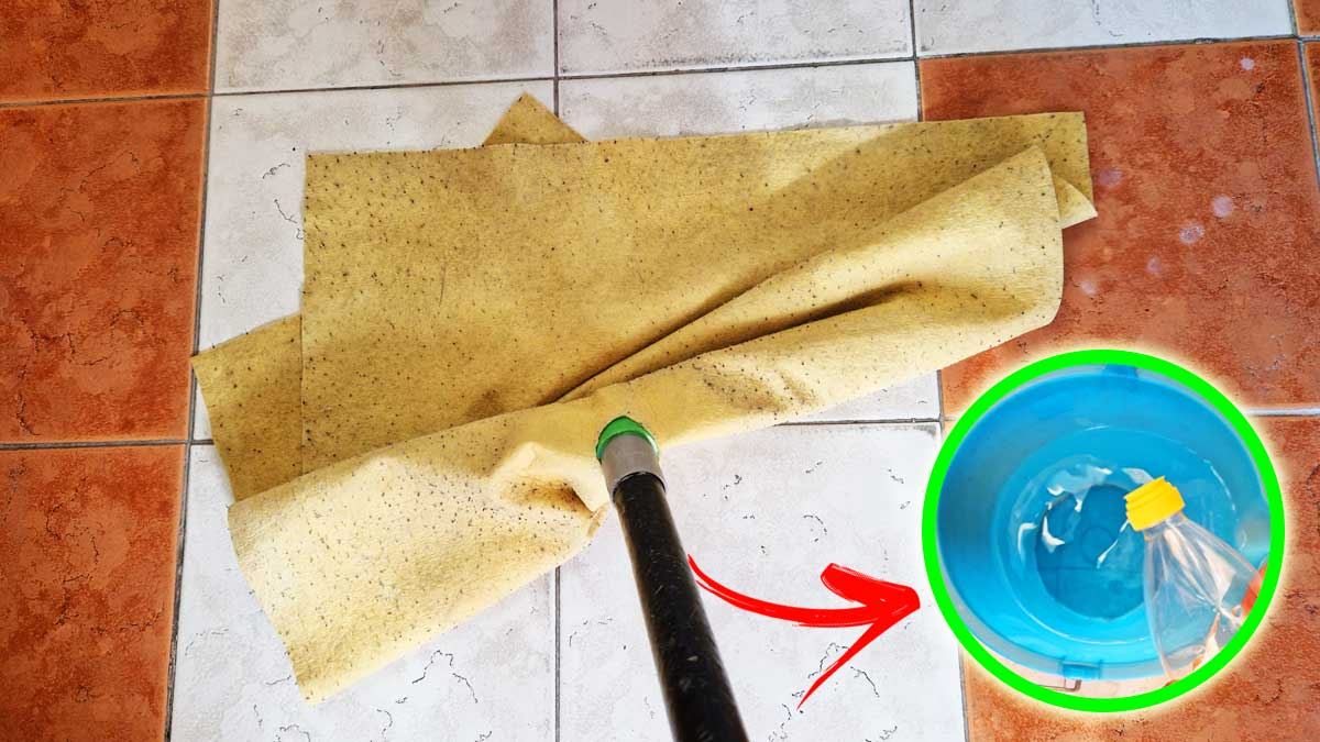 Cómo limpiar y perfumar el suelo que huele a huevo