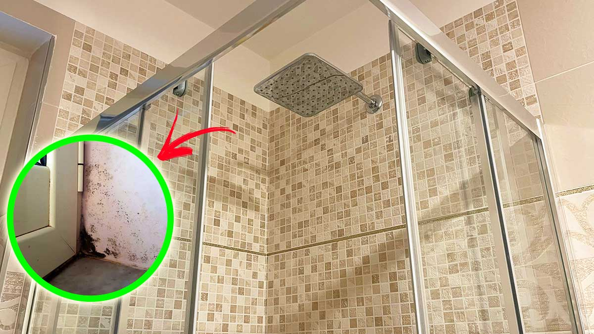 Cómo quitar el moho de las paredes de la ducha con 4+1 remedios naturales