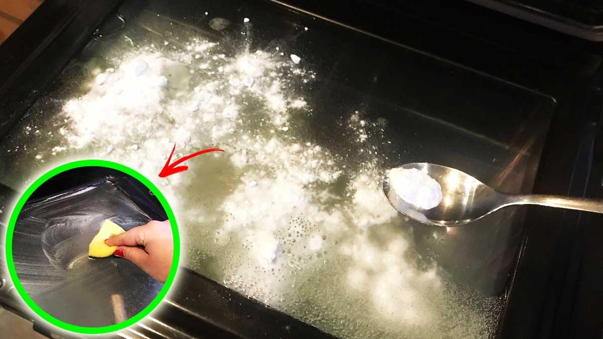 ¿Cómo quitar las manchas de grasa del cristal del horno?