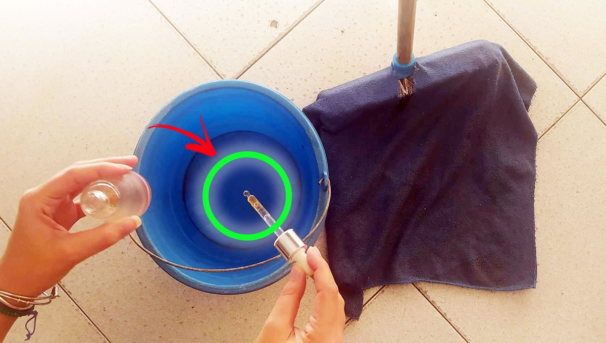 ¡Cómo tener siempre suelos perfumados en invierno!