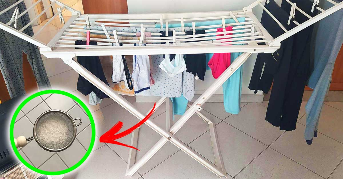 Cómo no hacer que la ropa tendida en casa apesta