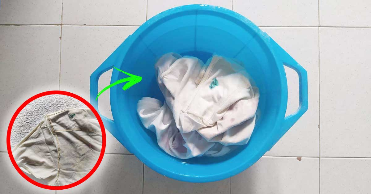 ¡Cómo eliminar las manchas de moho y hongos de la ropa y la ropa de cama!