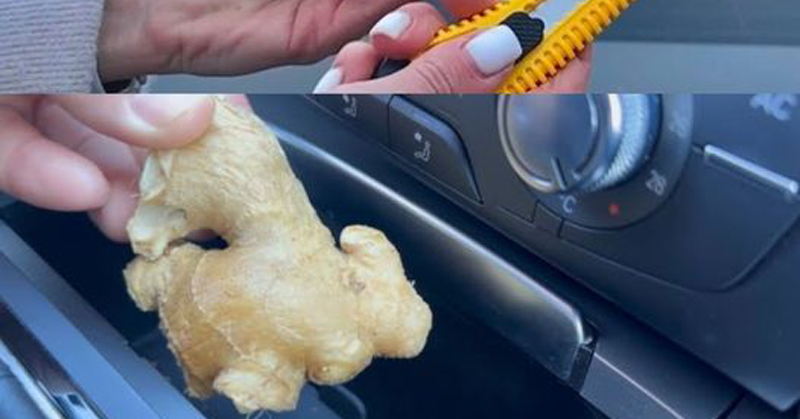 Pon 1 jengibre en tu coche: un día lo agradecerás