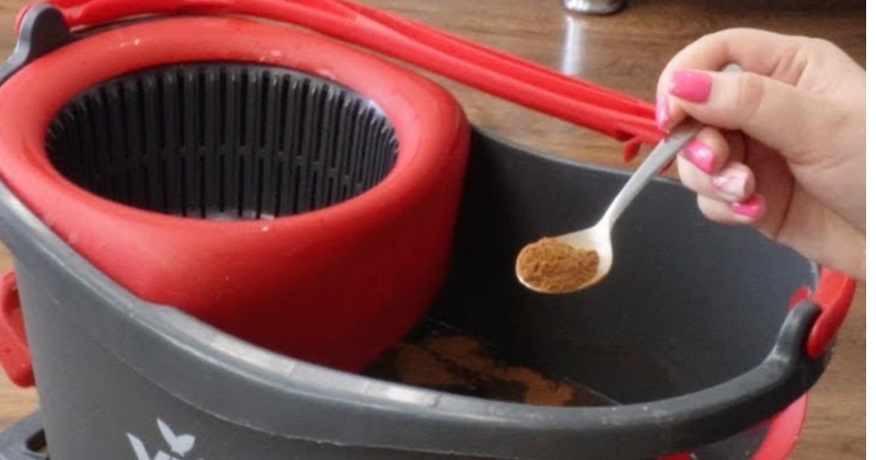 Refresca tu hogar con una pizca de canela en tu rutina de limpieza