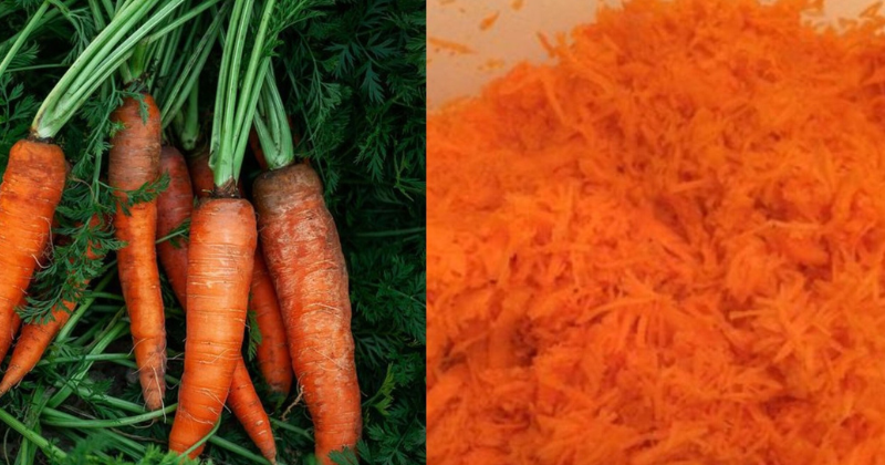 Cómo hacer aceite de zanahoria en casa para una piel, un crecimiento del cabello y una cocina radiantes