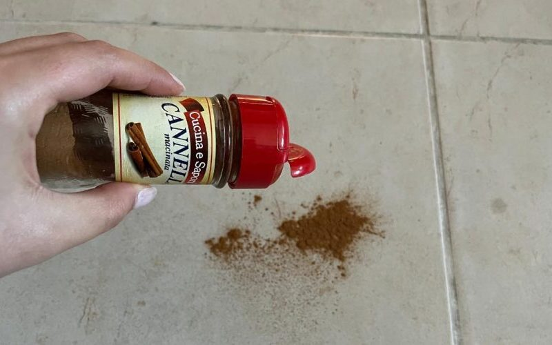 Espolvorea una pizca de canela en el fondo, el truco que ha funcionado durante décadas.