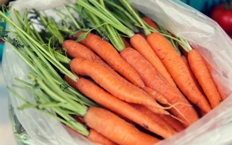 Cultivo de zanahorias en casa en bolsas de plástico: una guía sencilla y compacta