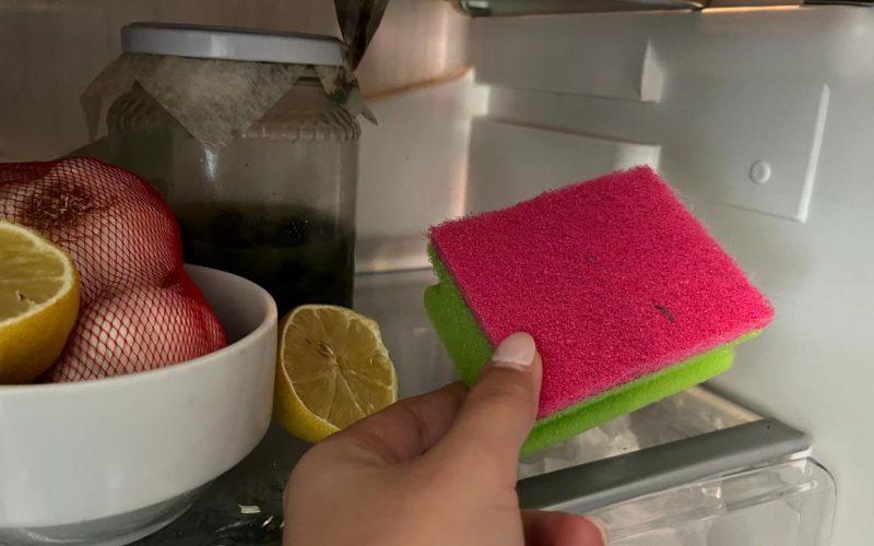 Pon una esponja para lavar platos en el frigorífico: por qué podría ahorrarte dinero