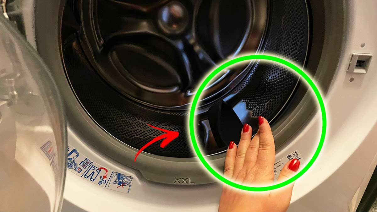 ¡Aquí tienes todas las razones por las que siempre debes tener una lavadora limpia!