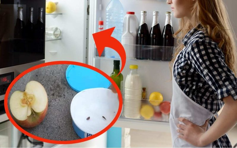 Corazones de manzana en el frigorífico, tú también deberías probarlo: ¿qué pasa si lo haces?