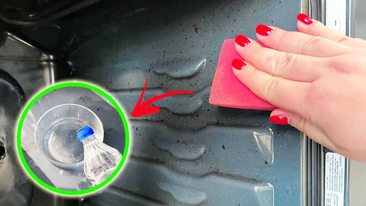 Para ablandar la suciedad de las paredes del horno, aquí tienes el método a seguir