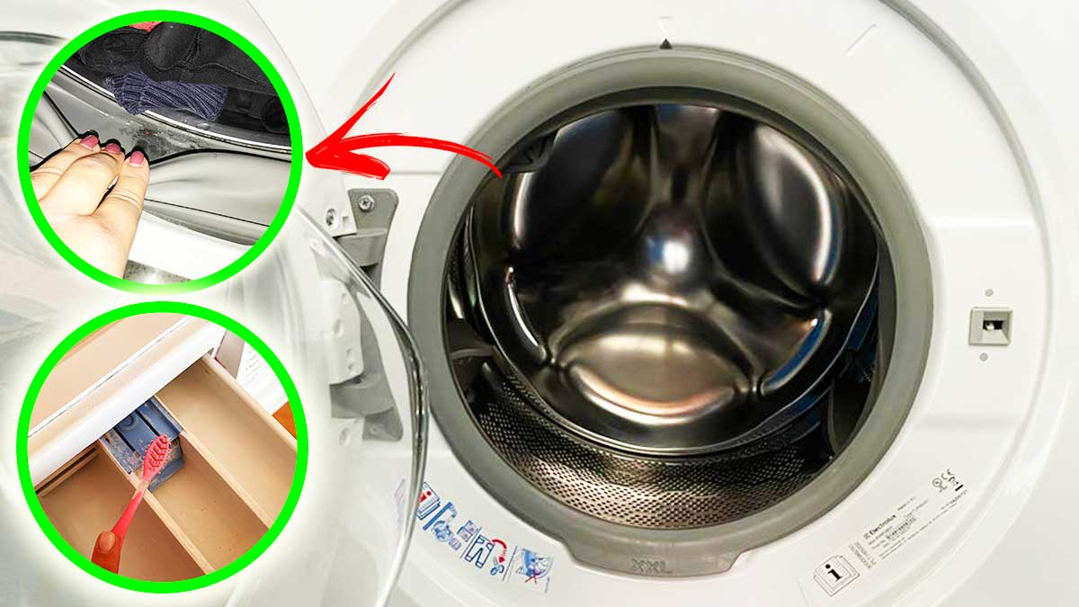 5 Cosas que nunca debes olvidar al limpiar periódicamente tu lavadora