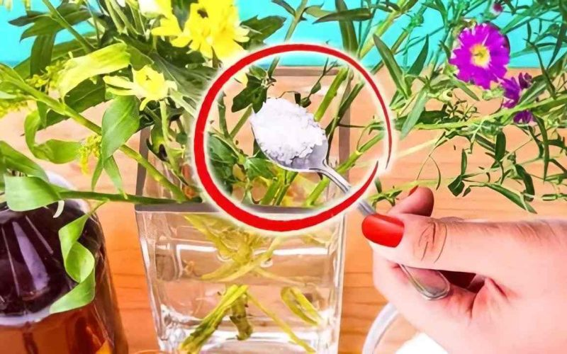 Flores frescas, el secreto de los floristas para conservarlas sin marchitarse durante 30 días