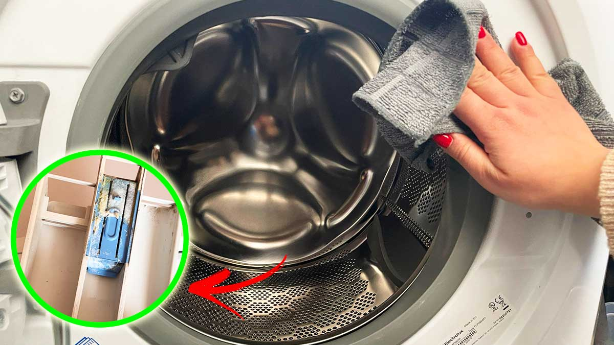 Aquí te dejamos la rutina mensual que debes seguir para tener tu lavadora siempre limpia