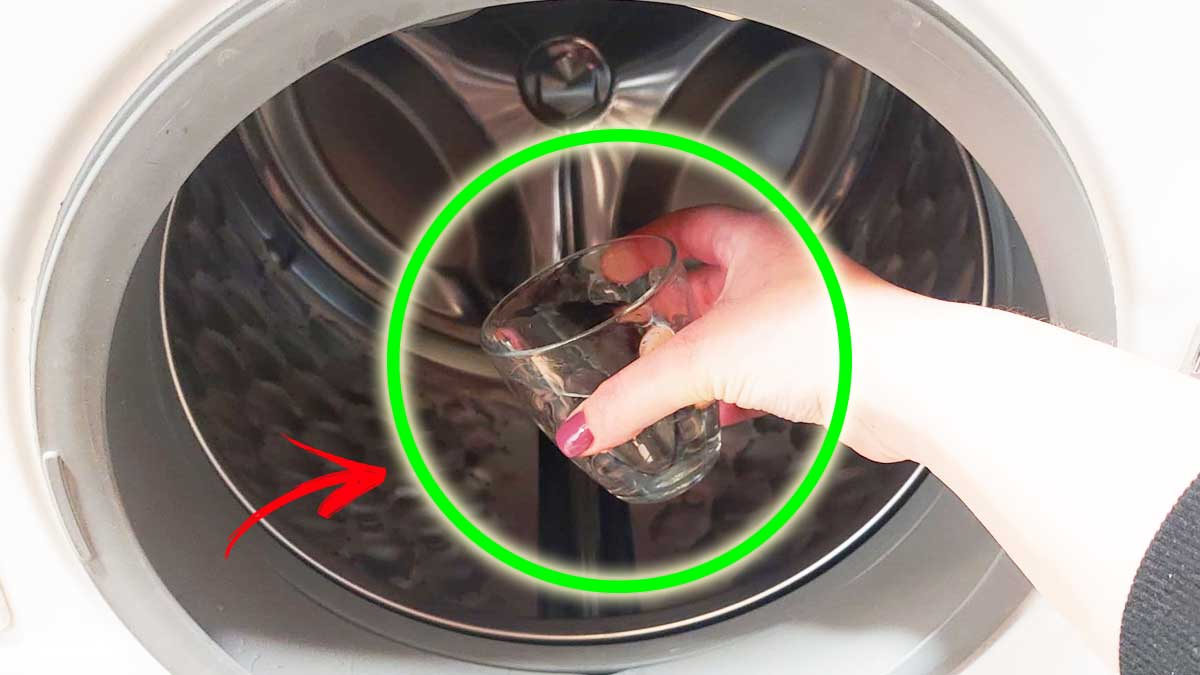 ¡Para hacer el limpiador de lavadoras casero no necesitas detergentes, solo este ingrediente!