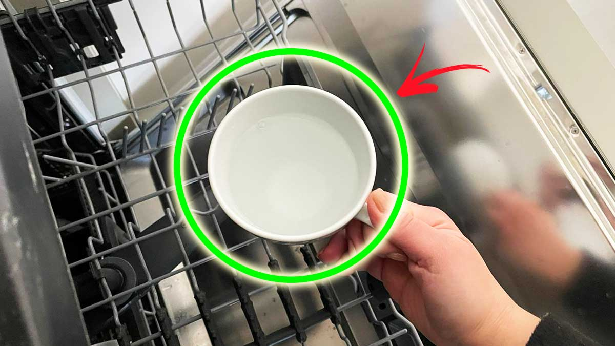 Para que tu lavavajillas vuelva a lucir como nuevo, ¡todo lo que necesitas hacer es agregar una taza!