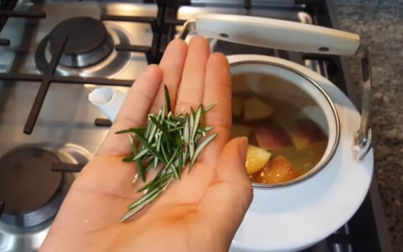 COCINA UNA MANZANA Y ROMERO LO QUE OCURRE DESPUÉS DE SÓLO 15 MINUTOS