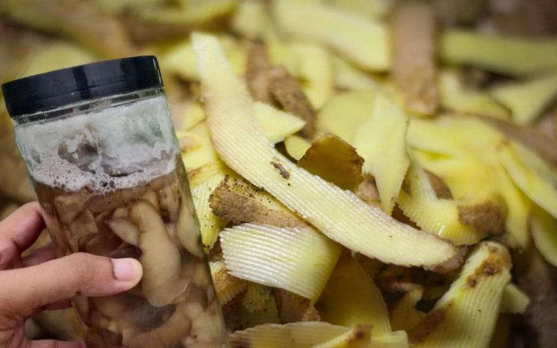 MORTAR CÁSCARAS DE PATATA EN UN VASO DE AGUA hirviente: QUÉ PASA