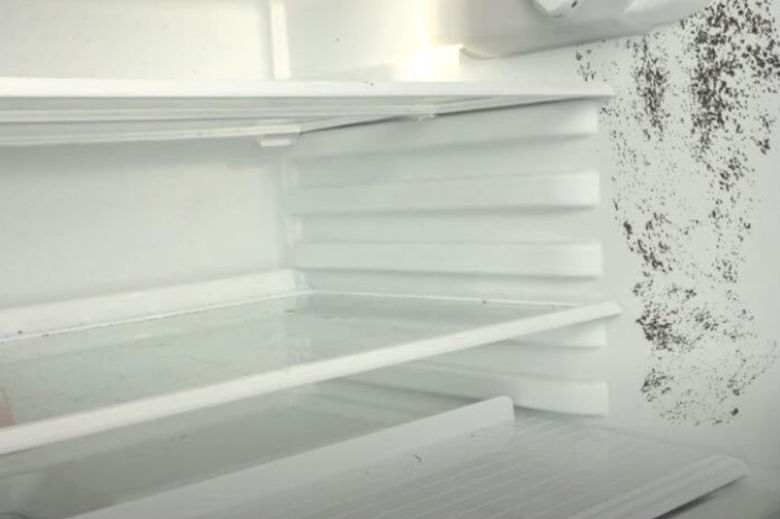 Cómo eliminar el moho del refrigerador rápidamente