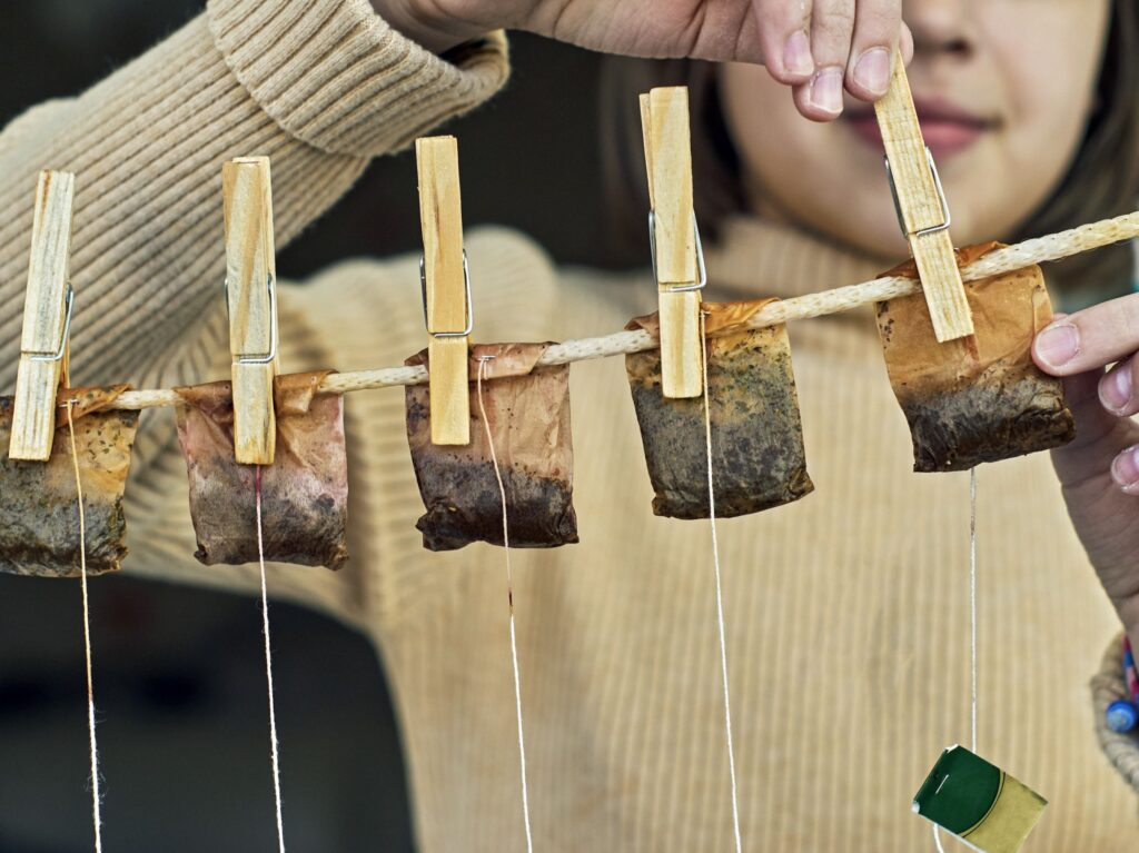Reutilizar las bolsitas de té: las mejores ideas