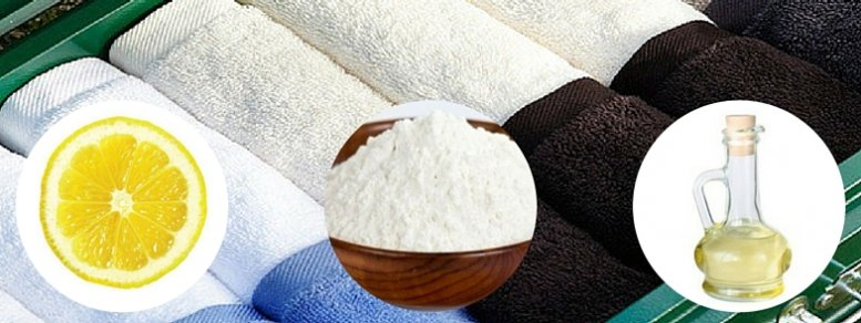 TODA MI VIDA FUE BORRADA EQUIVOCADAMENTE POR LAS TOALLAS. DEBES RECHAZAR ESTO PARA QUE SIEMPRE SEAS ESPONJOSO