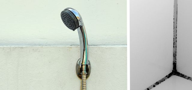 Limpiar la cabina de ducha: Con estos consejos funciona