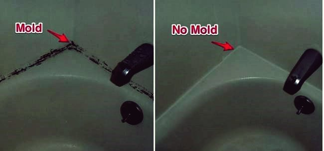 Ideas creativas: cómo deshacerse del moho de la ducha y la bañera con bricolaje