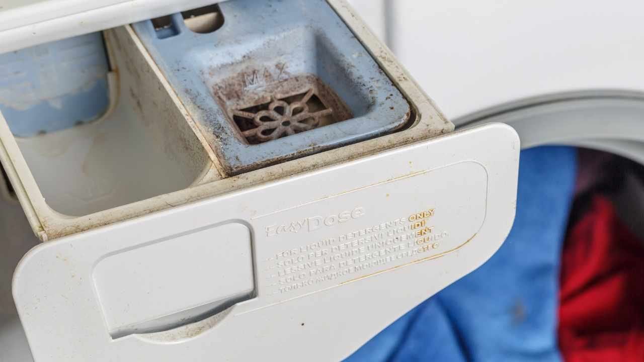 El cajón de mi lavadora siempre estaba sucio, pero ahora he descubierto tres remedios sencillos y ¡puedo limpiarlo en un instante!